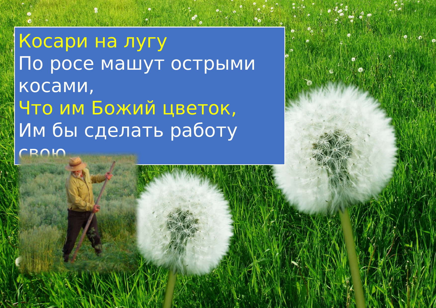 Перша сторінка