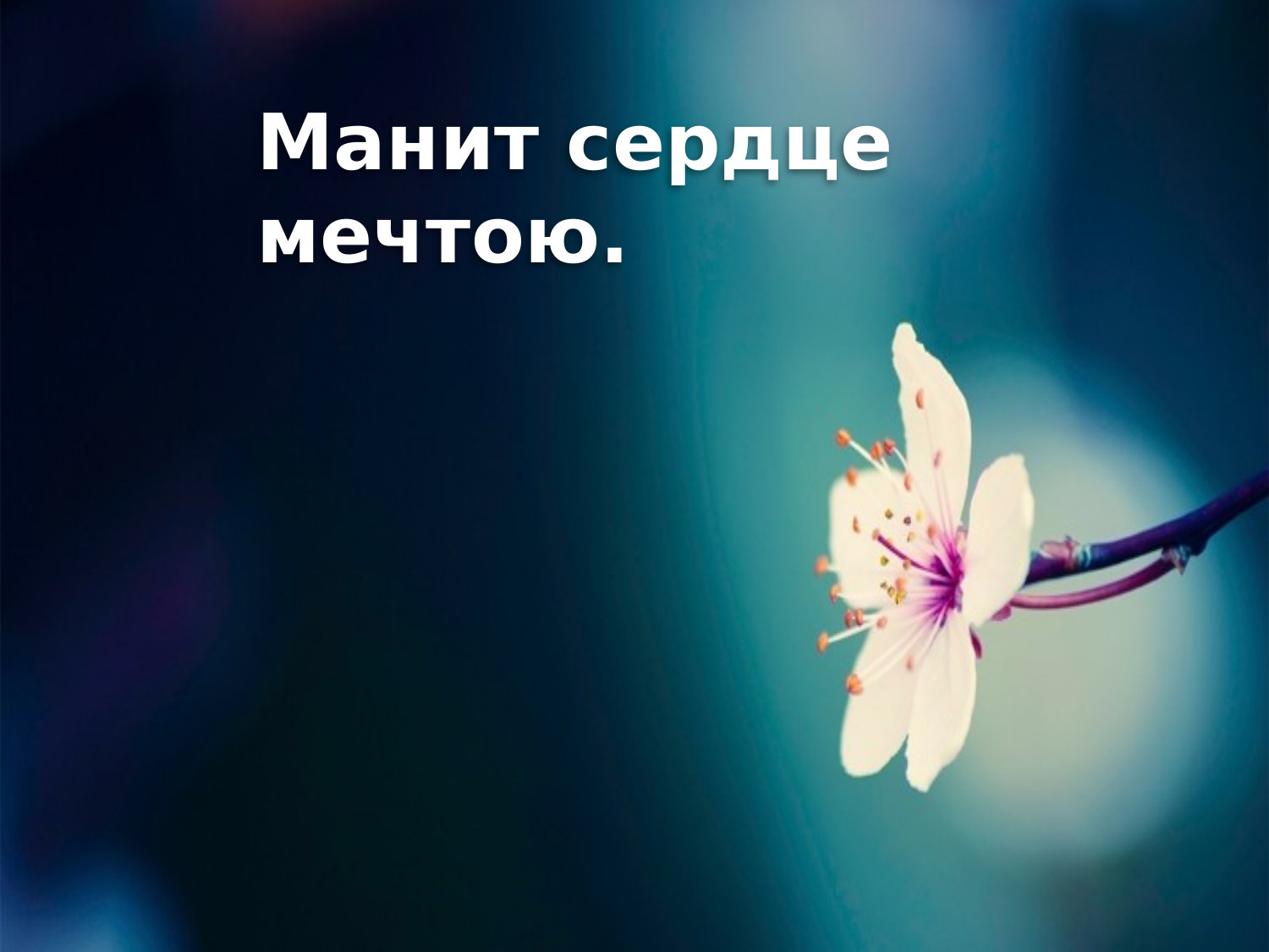 Перша сторінка