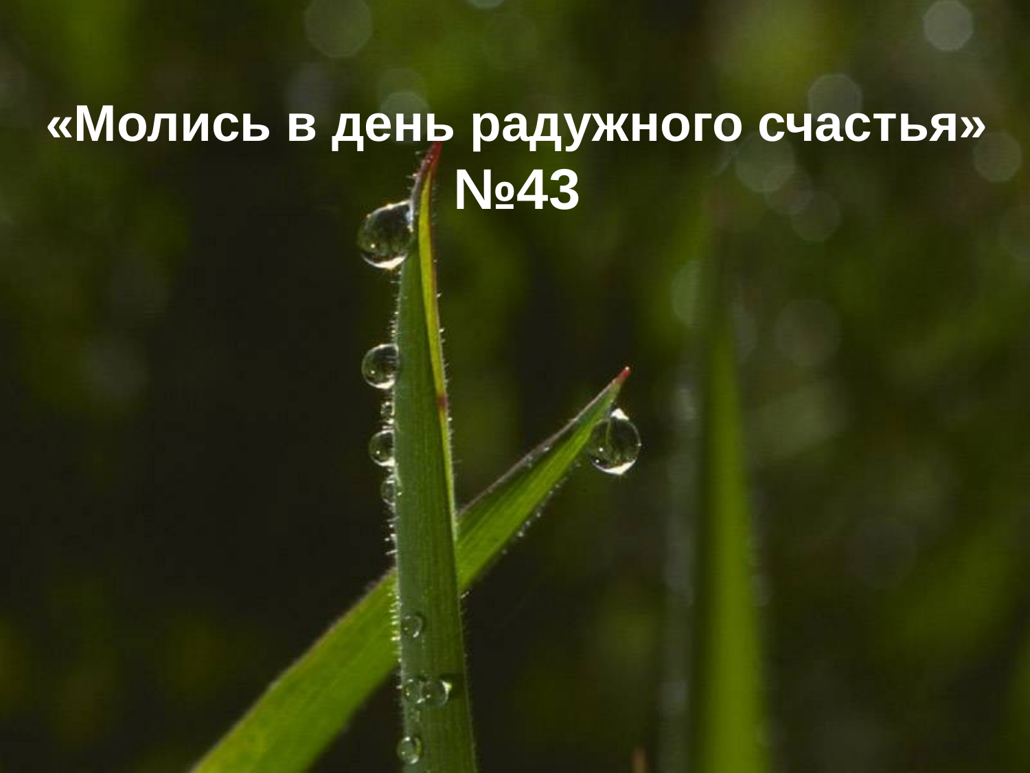 Перша сторінка