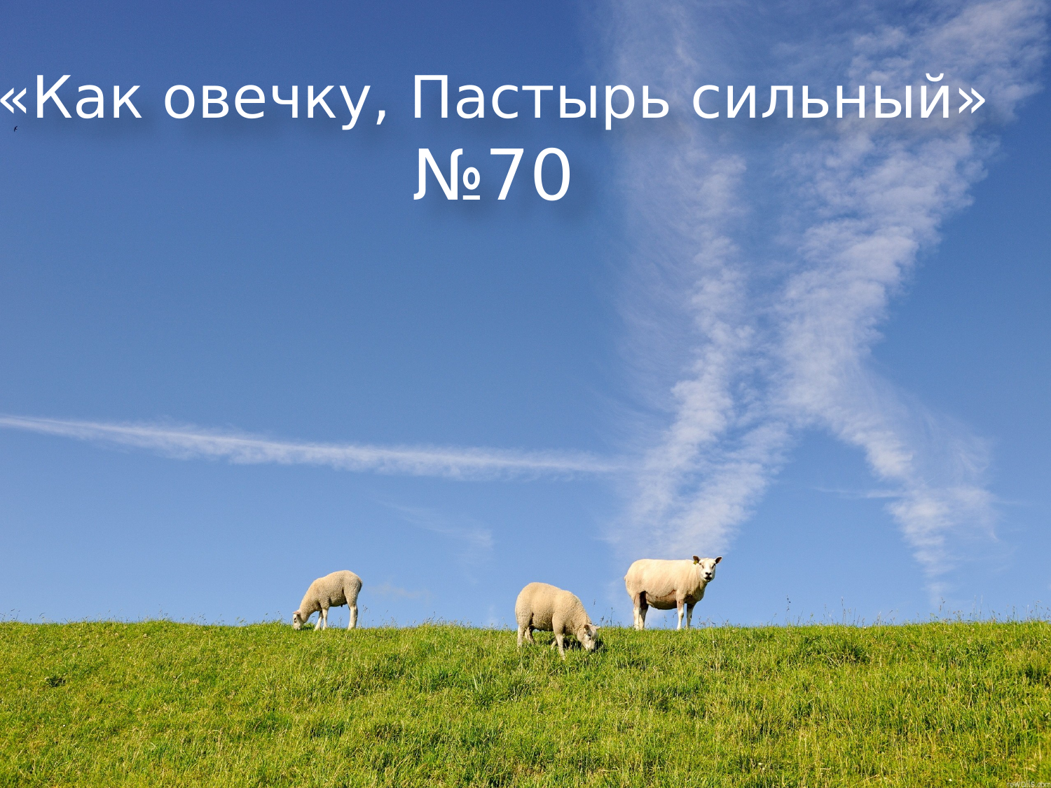 Перша сторінка