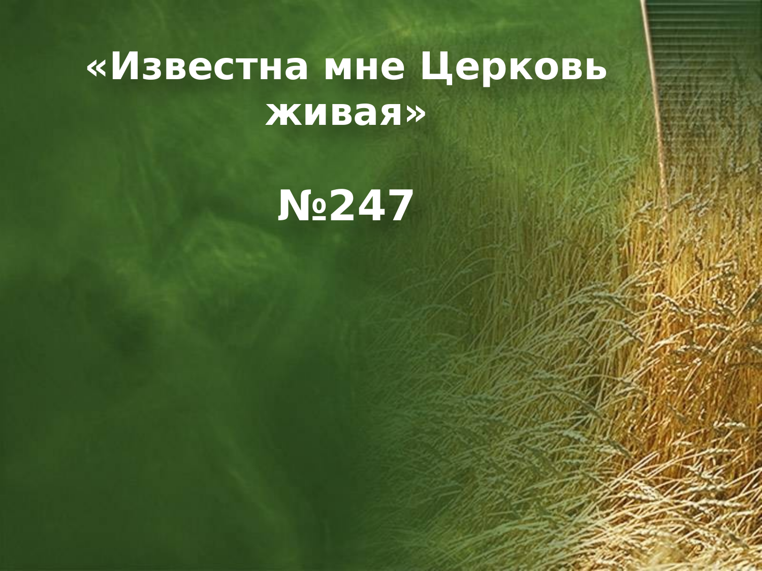 Перша сторінка