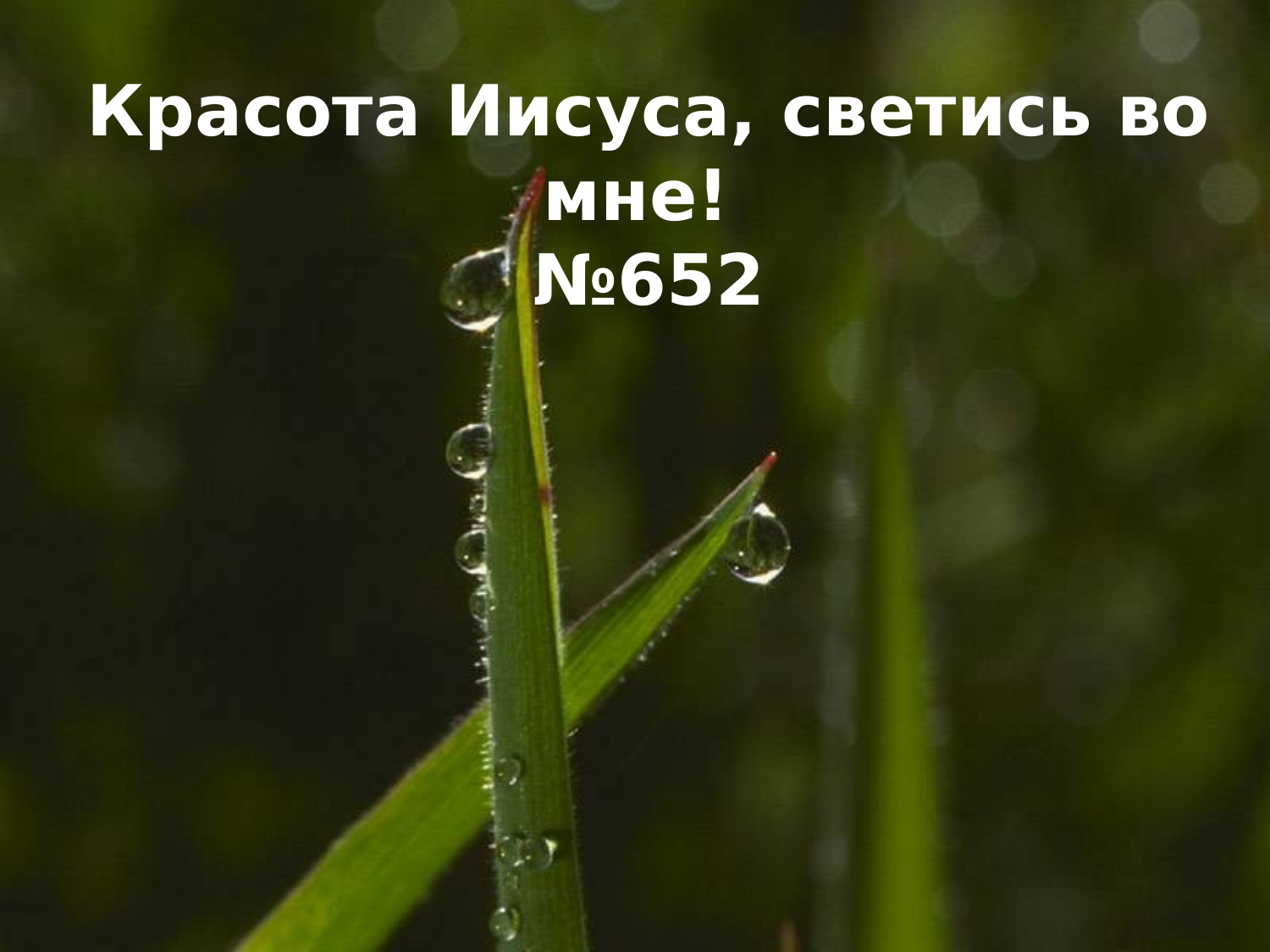 Перша сторінка
