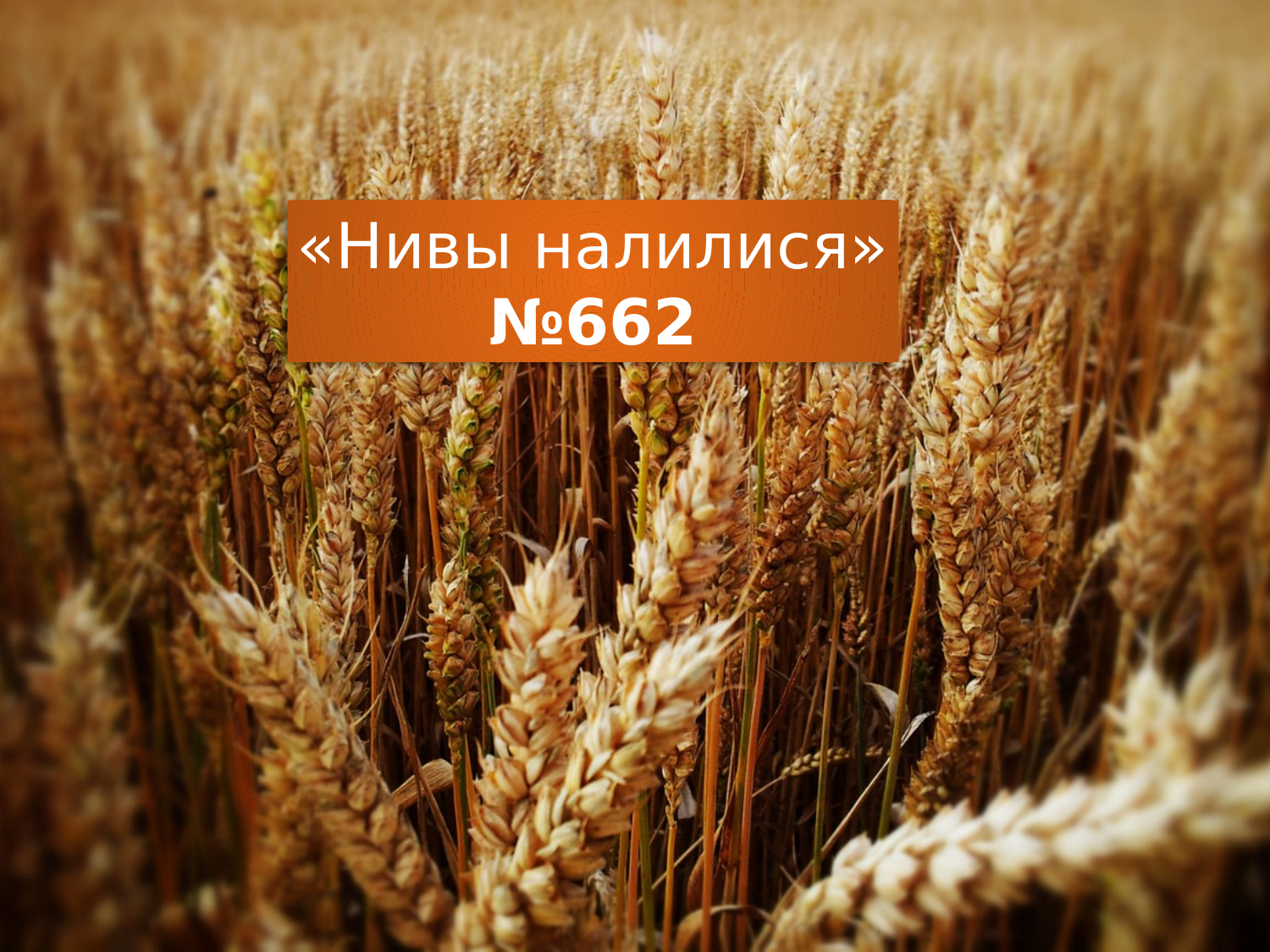 Перша сторінка