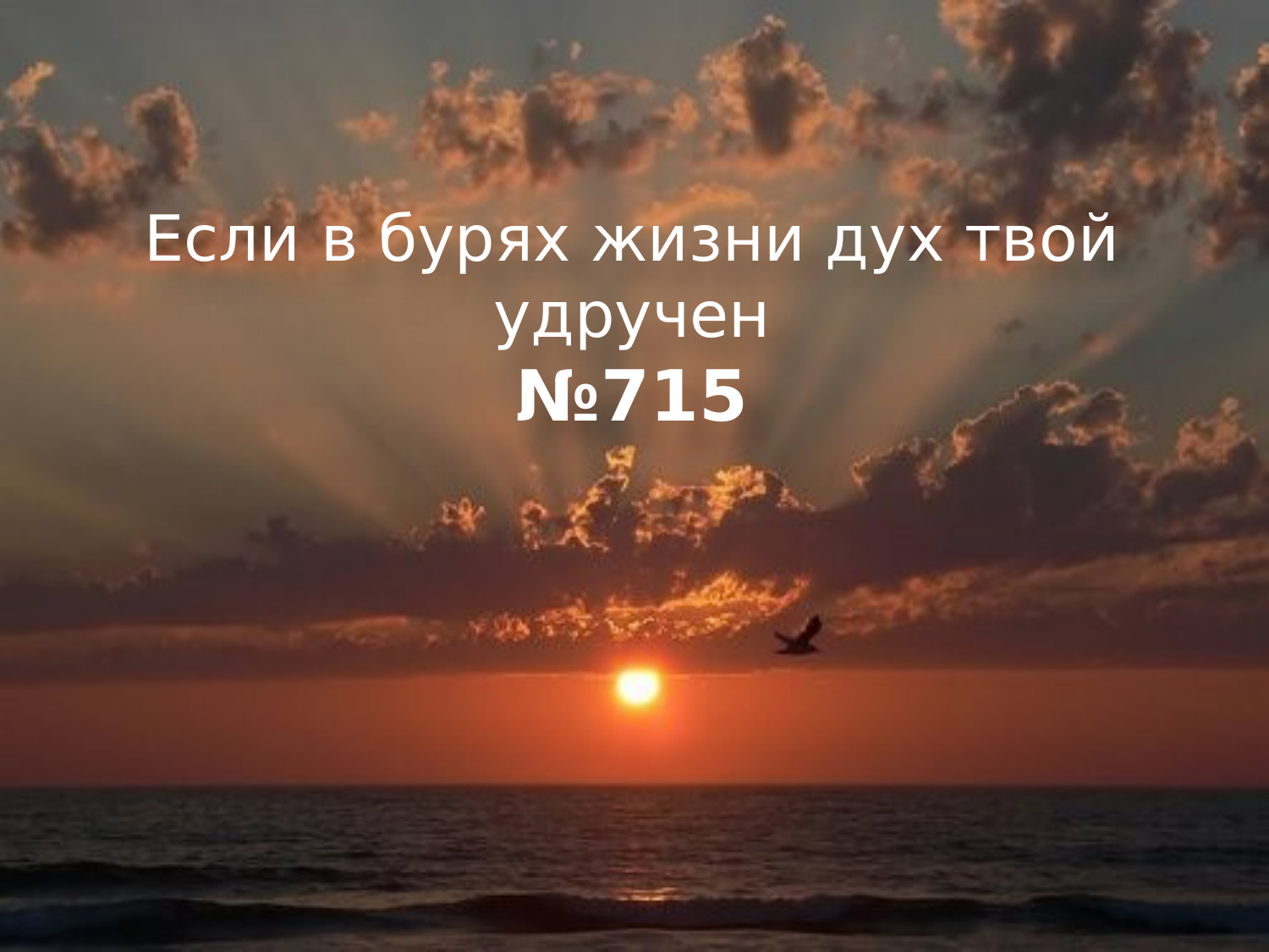 Перша сторінка