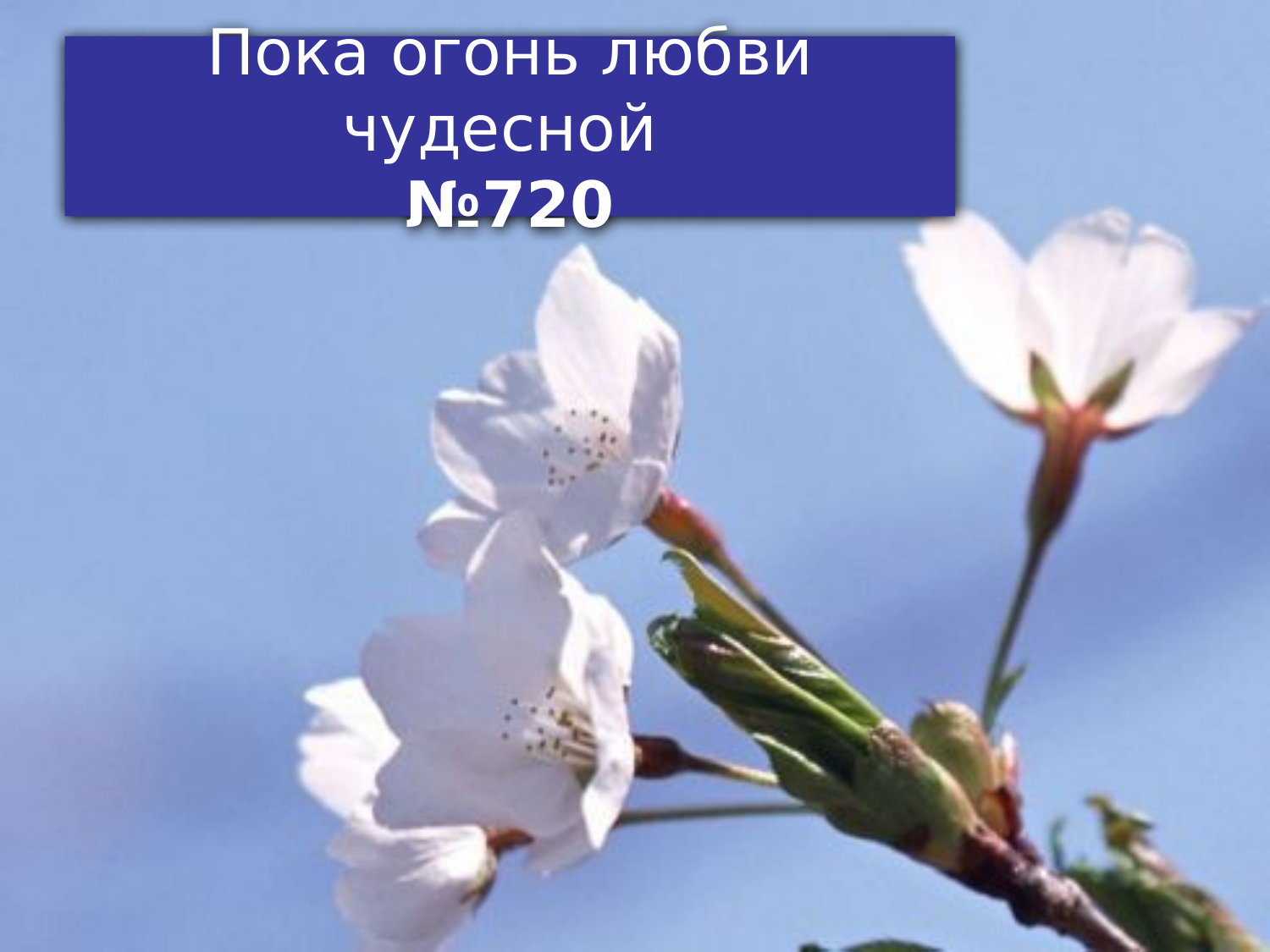 Перша сторінка