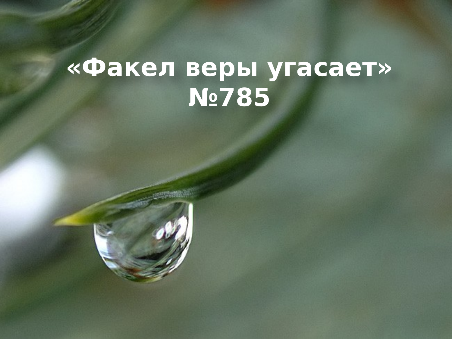 Перша сторінка