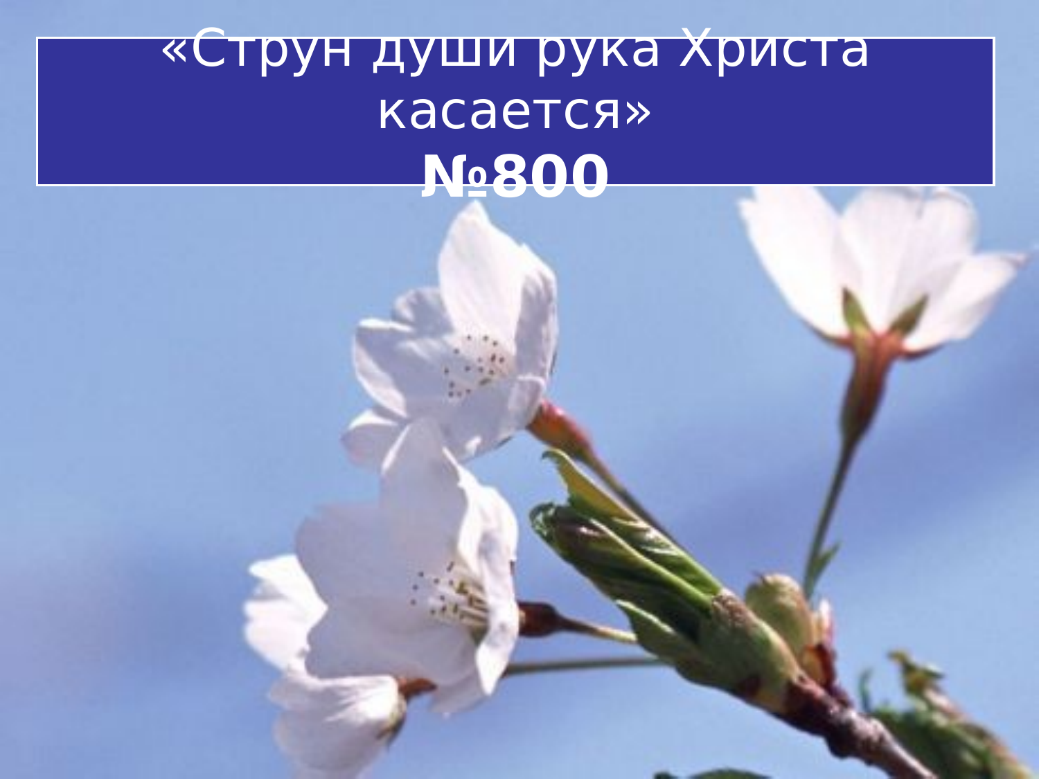 Перша сторінка