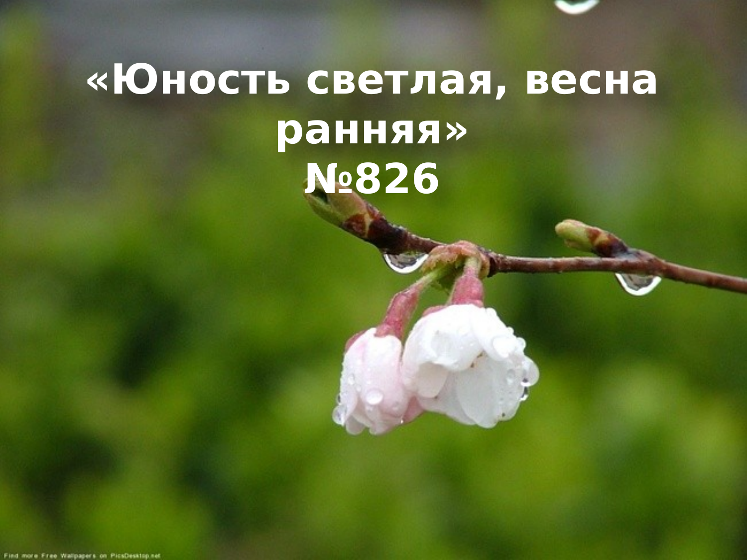 Перша сторінка