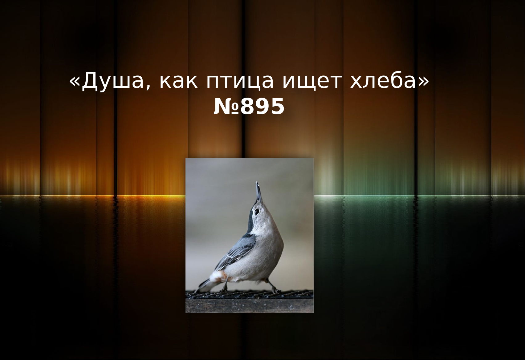 Перша сторінка